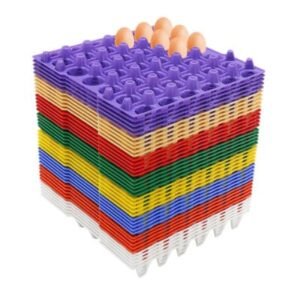itm.0000953 egg tray all 400x457 1.jpg