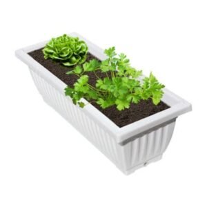 itm.0001152 rectangle 7 all 400x457 1.jpg